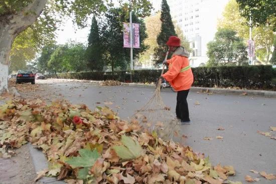 李婷：保洁大姨和她天博电竞网站的三套房(图1)